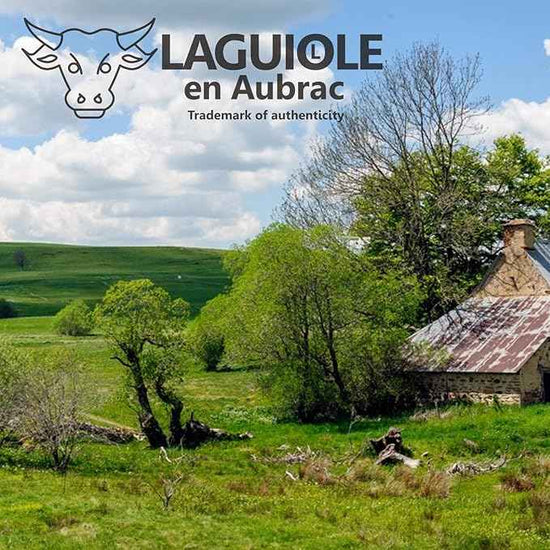 Laguiole en Aubrac corkscrew sommelier waiters knife 3 functions SOM99PMI malachite handle, stainless steel shiny