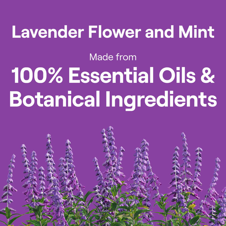 Dish Soap Liquid Lavender Flower & Mint Scent Pack of 6 Dishwashing Soap Dish Detergent Liquid Soap 19 oz (114 Fl Oz)