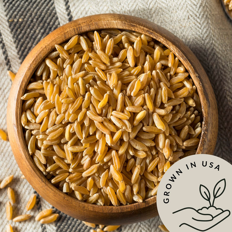 Organic Kamut Wheat Berries Khorasan 4.8lb (76.8 Ounce)