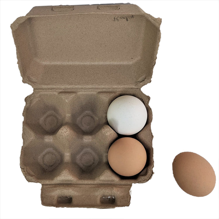 Half Dozen Blank Egg Cartons (100 Count)