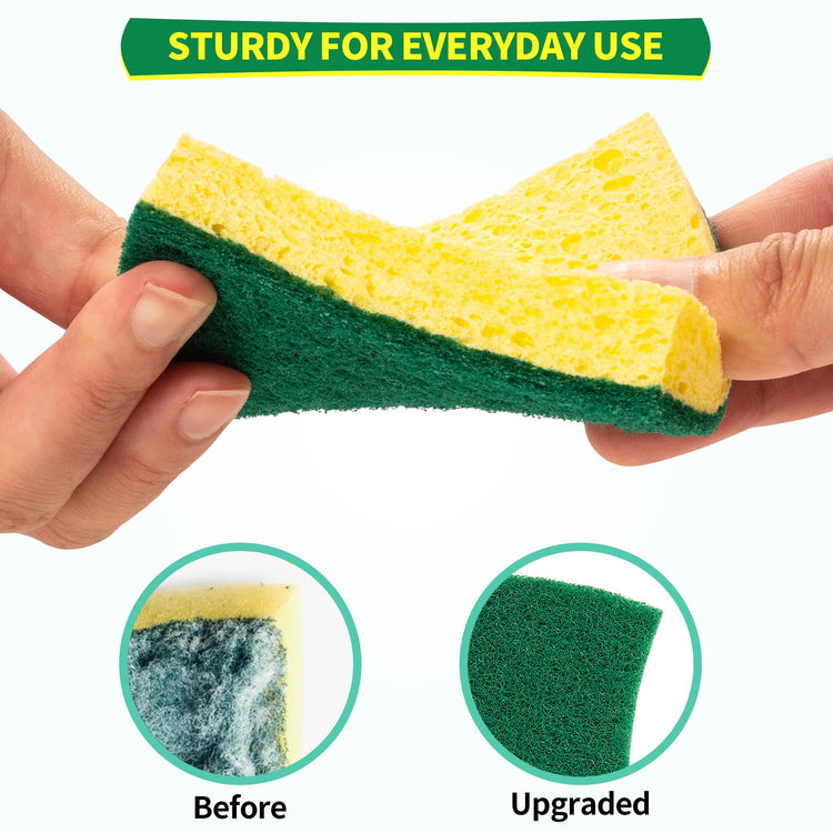 Heavy Duty Scrub Sponge 24 Pack (24 Count)