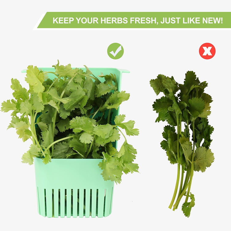 Herb Keeper Set: 3 Pack Herb Saver+1 Pack Herb Scissors+2 Pack Herb Stripper, BPA-Free Plastic Herb Container for Cilantro, Mint & Asparagus, Keeps Fresh Herbs for 3 Times Longer