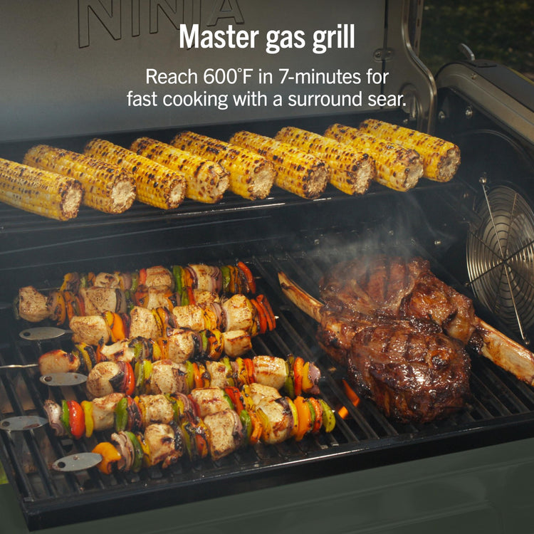 FlexFlame Grill & Smoker