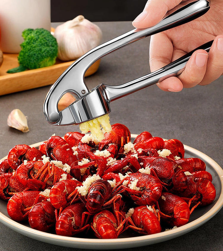 Stainless Steel Garlic Press Set Silicone Garlic Peeler & Brush