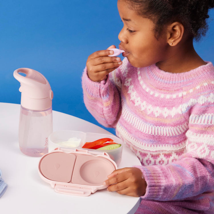 Snack Box Snack Containers for Kids