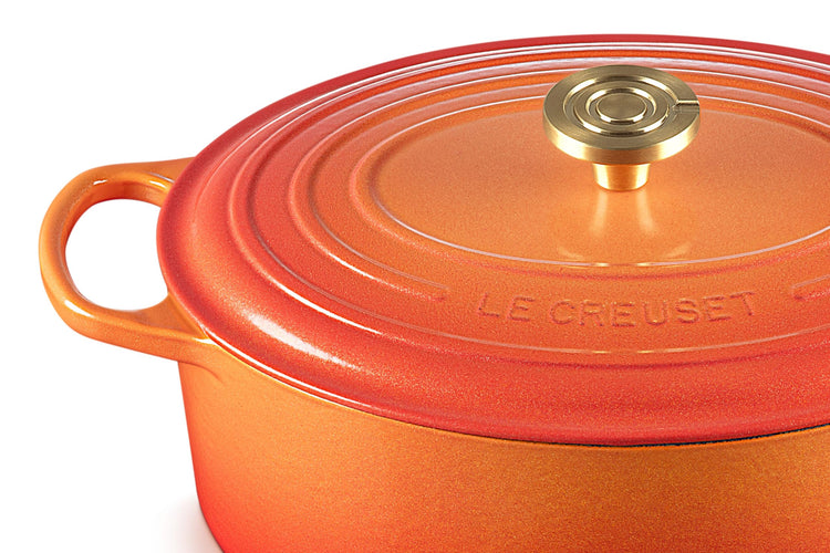 Enameled Cast Iron Oval Dutch Oven