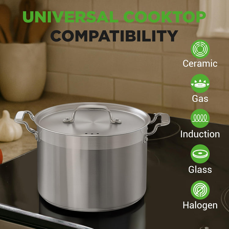 8 Qt Heavy Duty Stockpot with Stainless Steel Lid