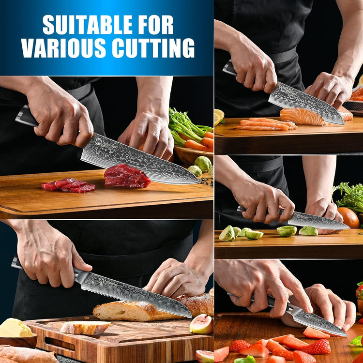Sunnecko Damascus Kitchen Knife Set 5 Piece Chef Knife Set Professional, Sharp Kitchen Knives Set Full Tang, Gift Box