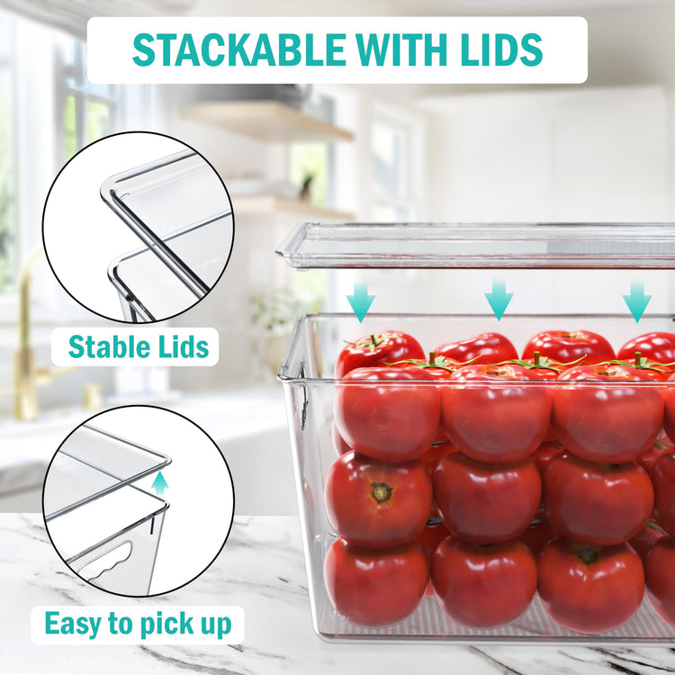 4 Pack Clear Storage Bins with Lids (4 Count)