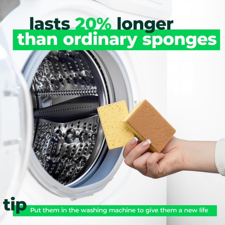 12 Pack Natural Biodegradable Kitchen Sponges (12 Count)