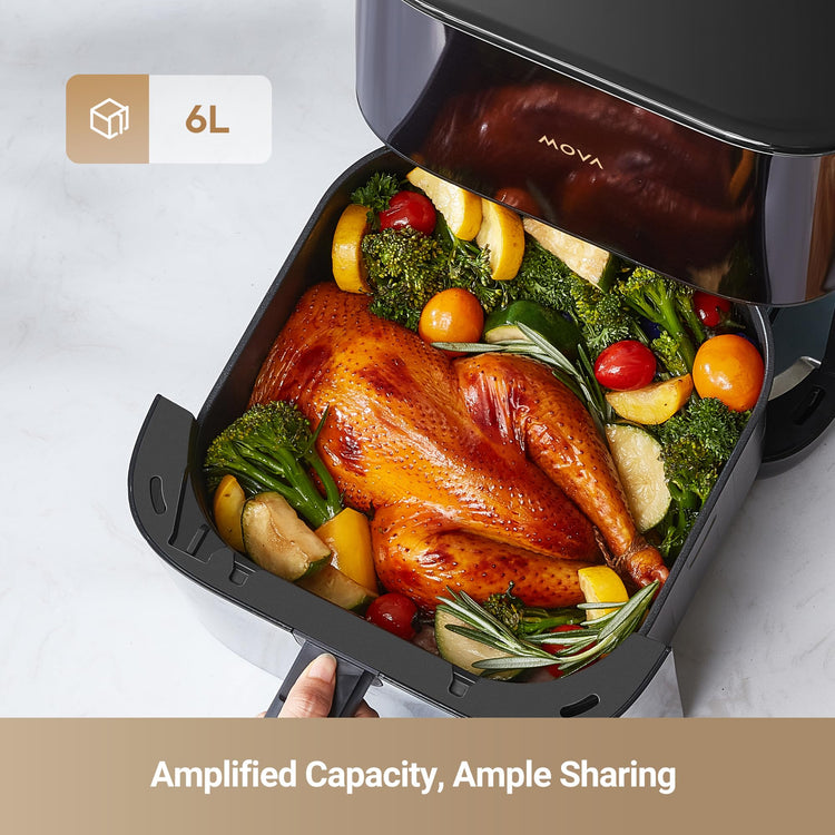 FD10Pro Air Fryer