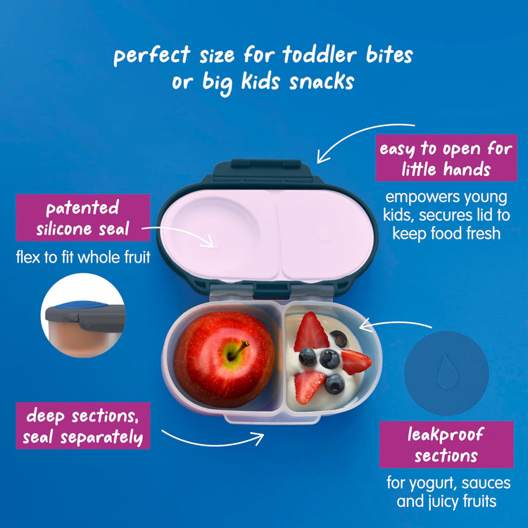 Snack Box Snack Containers for Kids
