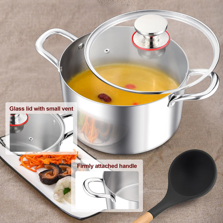 5 Quart Stock Pot with Lid