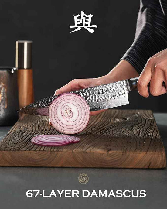 Japanese Chef Knife, 67-Layer Damascus Steel 8.1 Inch Kitchen Knife with AUS-10 Core, Professional Hand Forged Gyuto Knife with Gift Box, Ergonomic Handle, Ideal Valentine's Day Gifts for Men Women