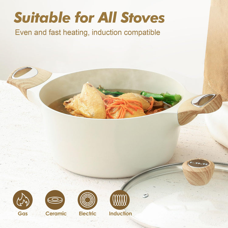 Ceramic Nonstick Stock Pot with Lid