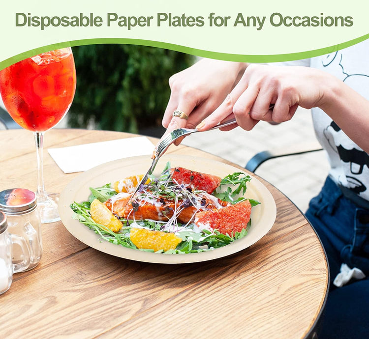 Paper Plates 9 inch, 50 Pack Eco Friendly Recycled Paper Plates, 100% Compostable Plates Disposable, Sturdy Paper Plates Dinner Size, Brown Paper Plates