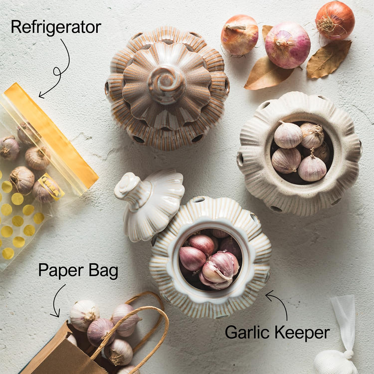 Large Garlic Keeper Storage for Counter