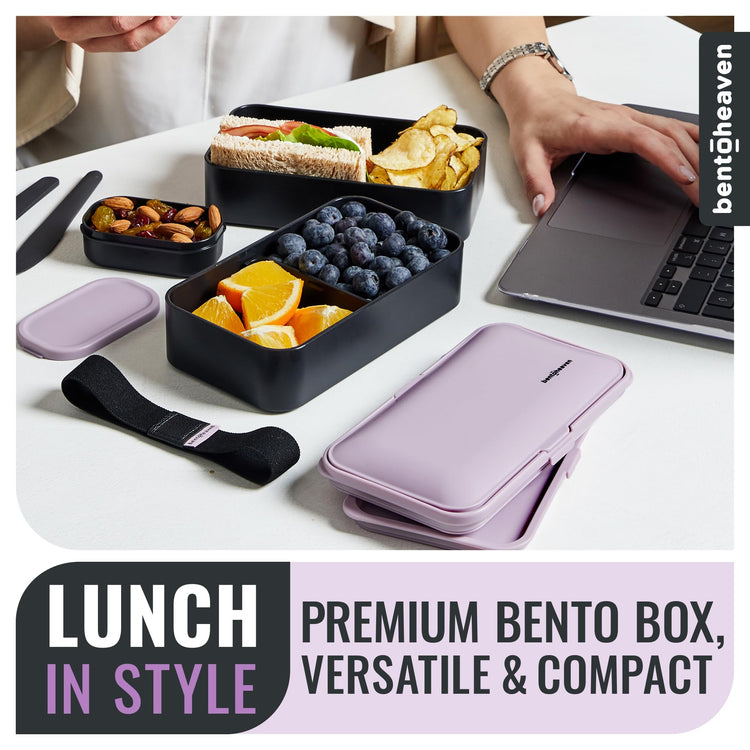 Bento Box Adult