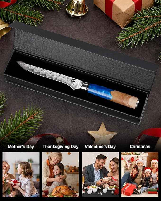 Damascus Boning Knife 6 Inch,VG10 Core Steel with 66-Layers High Carbon,Professional Boning Knives for Meat Poultry Chicken,Blue Resin & Wood Handle,Ideal Gift for Chefs and Cooking Lovers