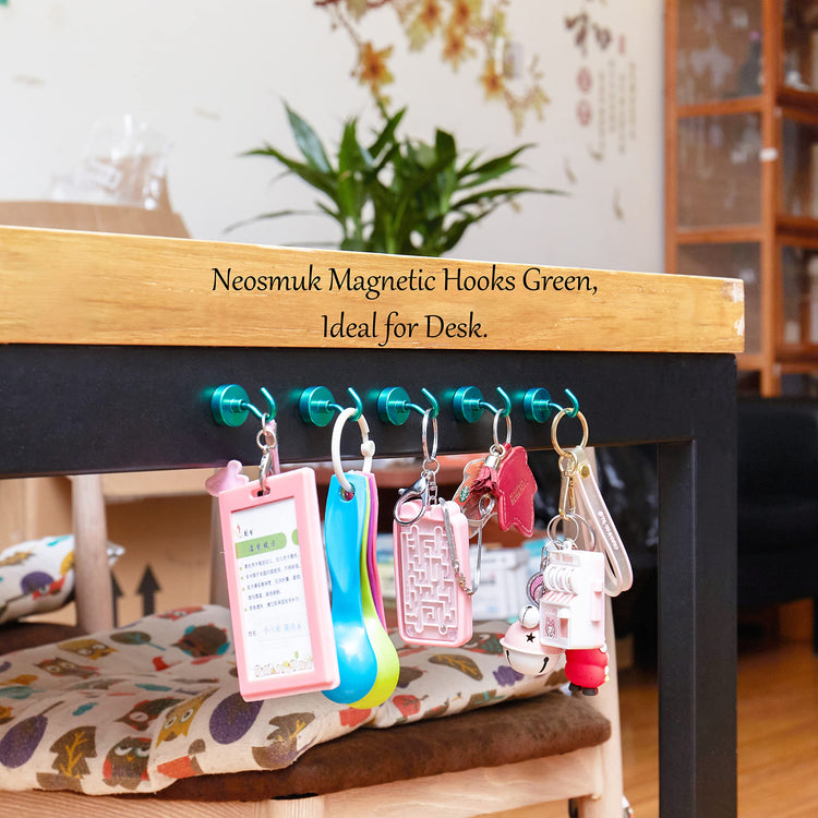 Magnetic Hooks (10 Count)