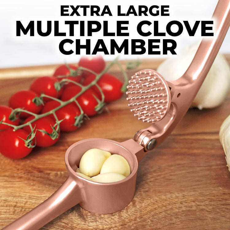 Premium Garlic Press Set