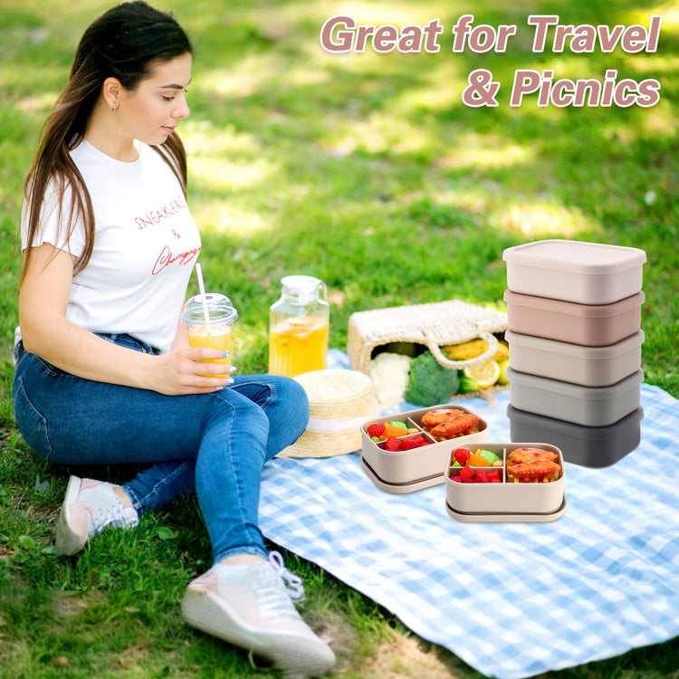 6 Pcs Silicone Bento Boxes (6 Count)