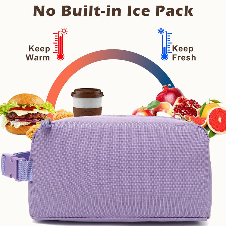 Small Insulated Lunch box Portable Soft Bag Mini Cooler Thermal Meal Tote Kit with Buckle for Work