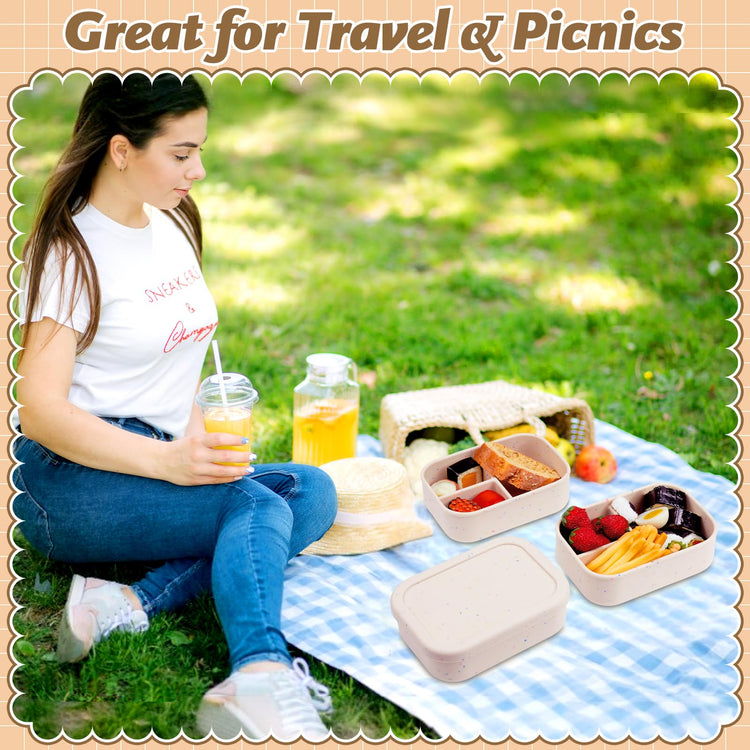 4 Pcs Silicone Bento Box (4 Count)