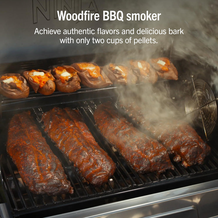FlexFlame Grill & Smoker