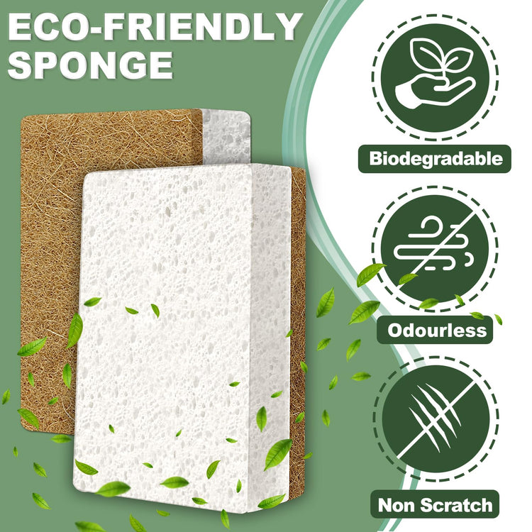 Natural Sponges for Dishes