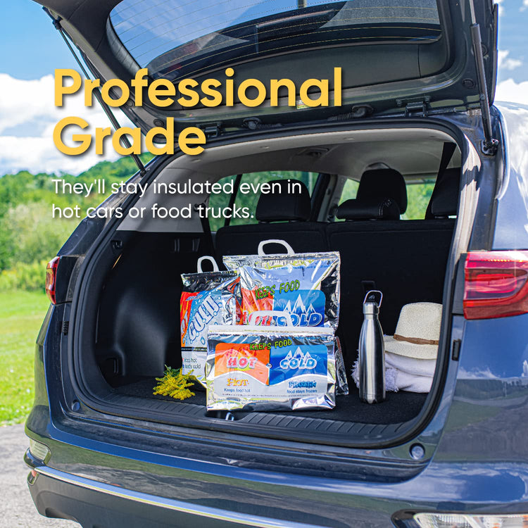 Hot and Cold Insulated Bags for Food Delivery (3 Count)