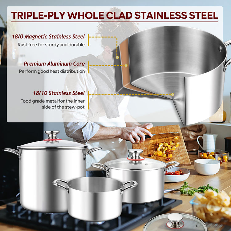 5 Quart Stock Pot with Lid