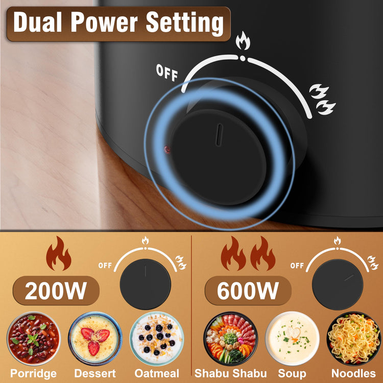 1.6L Electric Pot