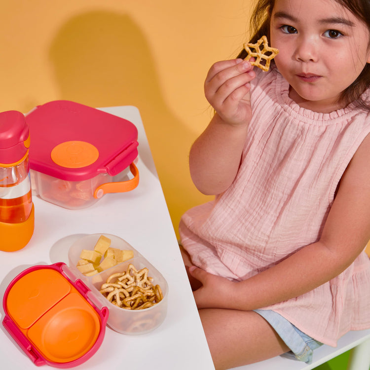 Snack Box Snack Containers for Kids
