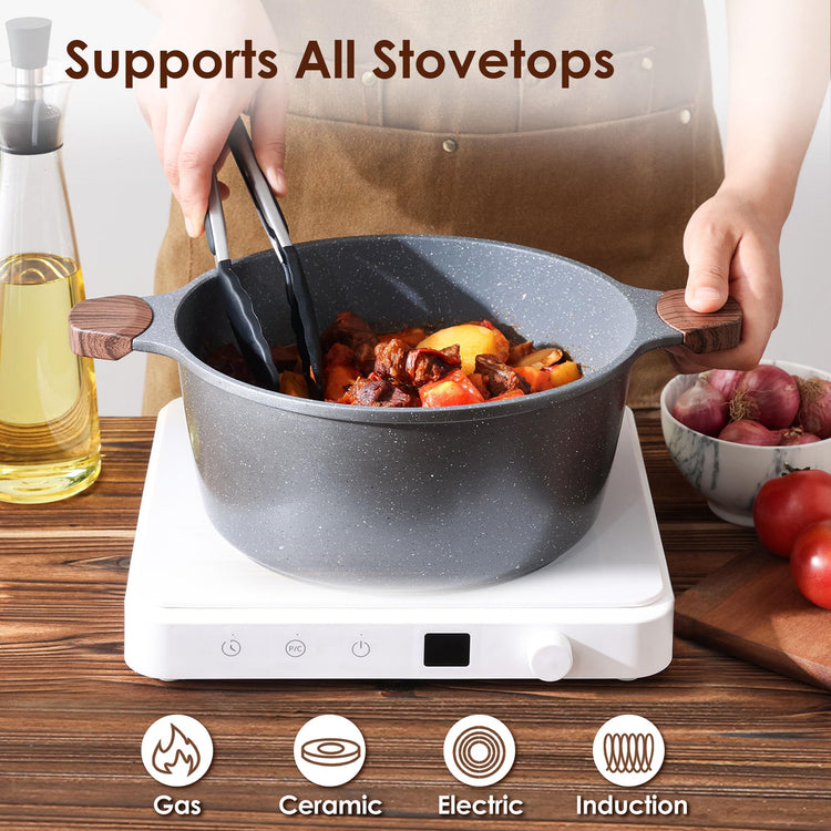 Nonstick Stock Pot with Lid