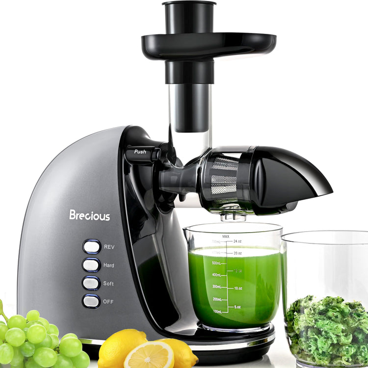 Slow Masticating Juicer