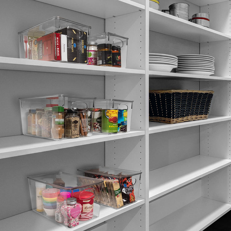 Plastic Storage Bins With lids (4 Count)