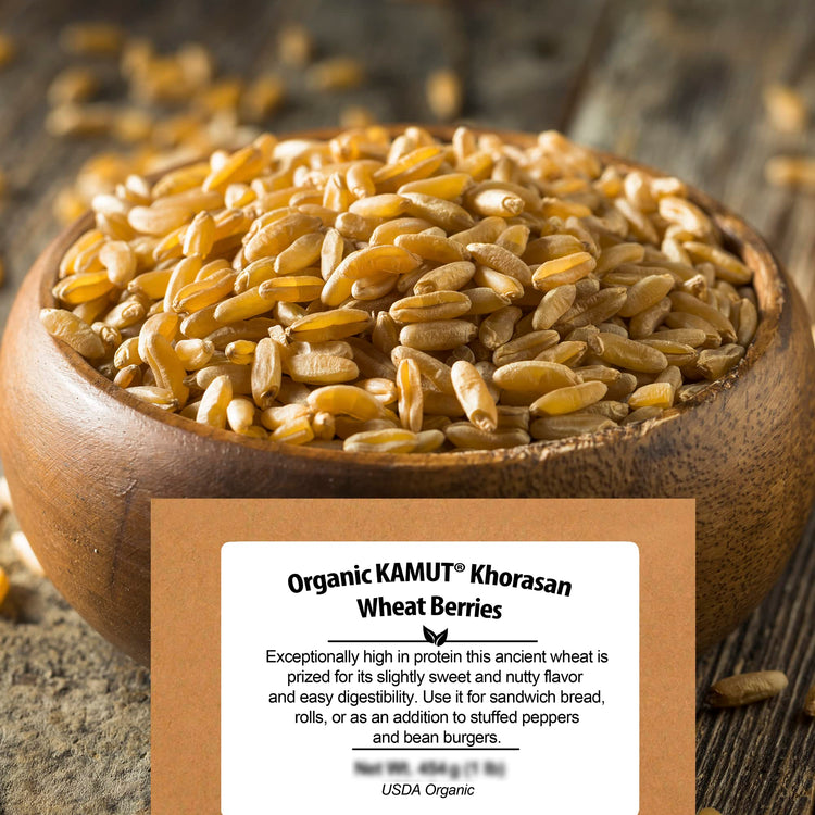 Organic Kamut Wheat Berries Khorasan 4.8lb (76.8 Ounce)