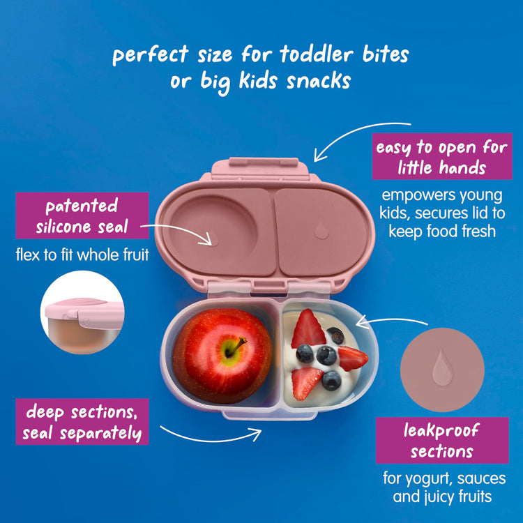 Snack Box Snack Containers for Kids