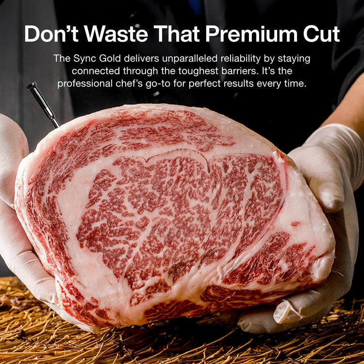 Sync Gold Wireless WiFi Meat Thermometer (2 Count)