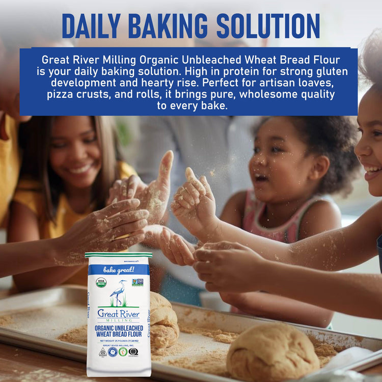 Organic Bread Flour (400 Ounce)
