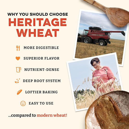 Sunrise Flour Mill Organic Heritage Whole Wheat Flour - 2 lbs | Easier to Digest with Less Bloating | No Bleaching or Bromating | Zero Additives - Nestoria