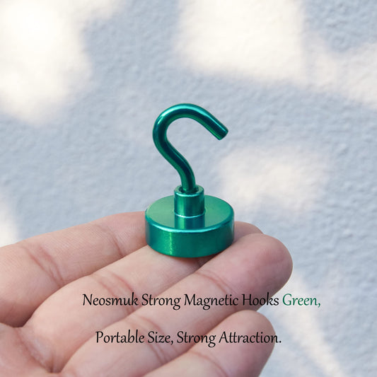 Magnetic Hooks (10 Count)