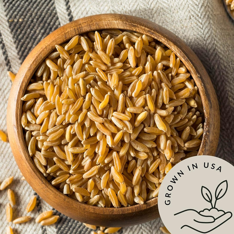 Be Still Farms Organic Kamut Wheat Berries Khorasan (2.8lb) - Ancient Whole Grain Bulk - Ideal for Flour, Pasta, Salads, Soups - High in Fiber & Protein | USA Grown | USDA Certified | Vegan | Non-GMO - Nestoria