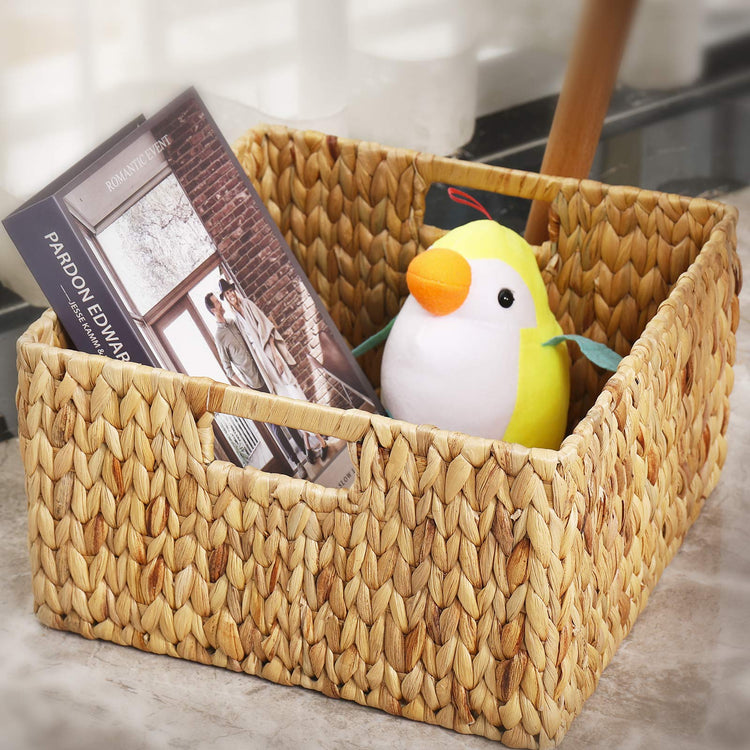 Water Hyacinth Storage Baskets for Organizing (2 Count)