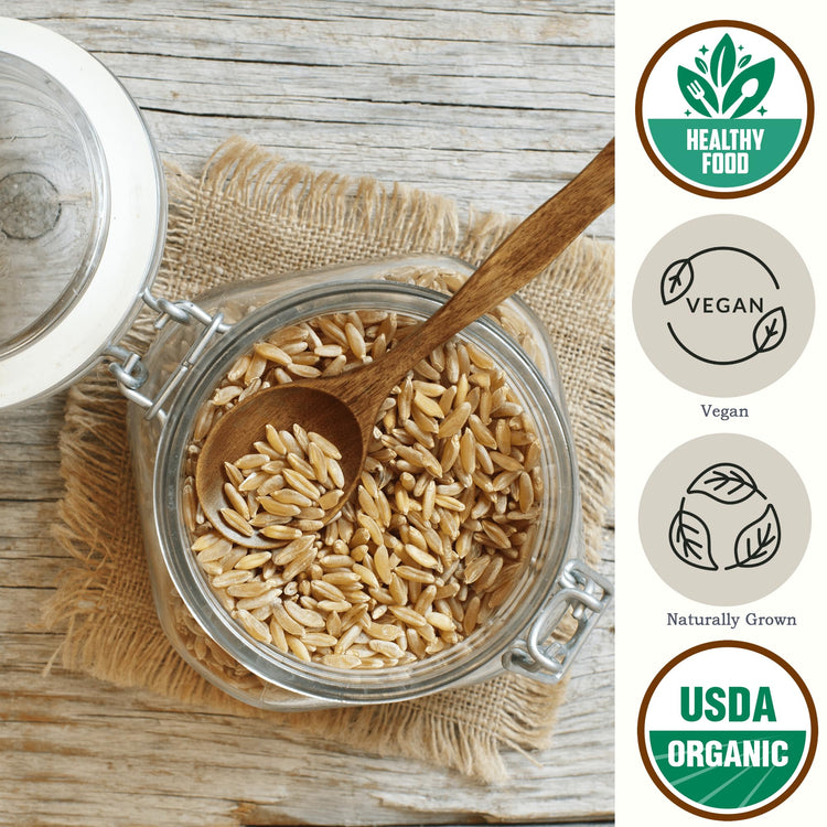 Organic Kamut Wheat Berries Khorasan 4.8lb (76.8 Ounce)