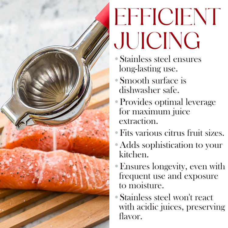 Citrus Juicer