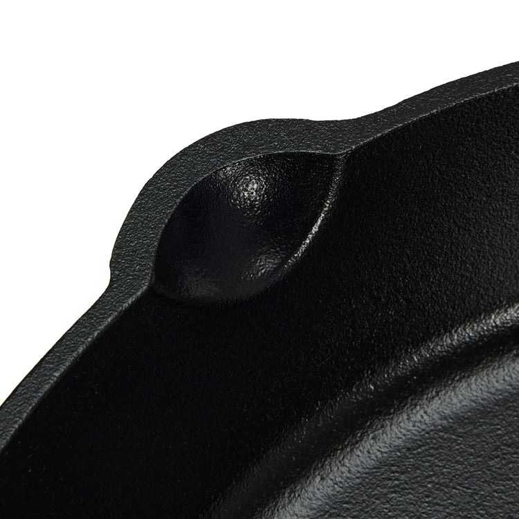 Pre Seasoned Cast Iron Skillet