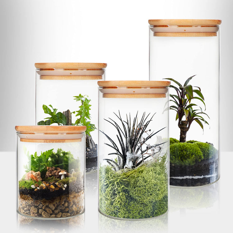 9 Pack 16 oz Glass Jars with Airtight Bamboo Lids for Kitchen