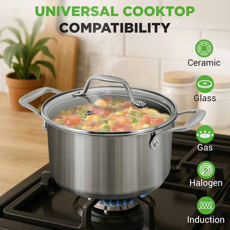 6 Quart Stainless Steel Stockpot